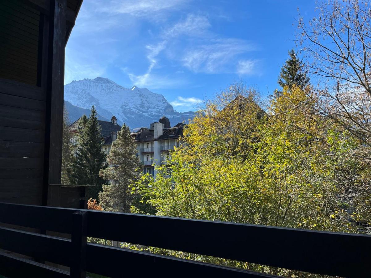 Apartment Im Gruebi-1 By Interhome Wengen Zewnętrze zdjęcie