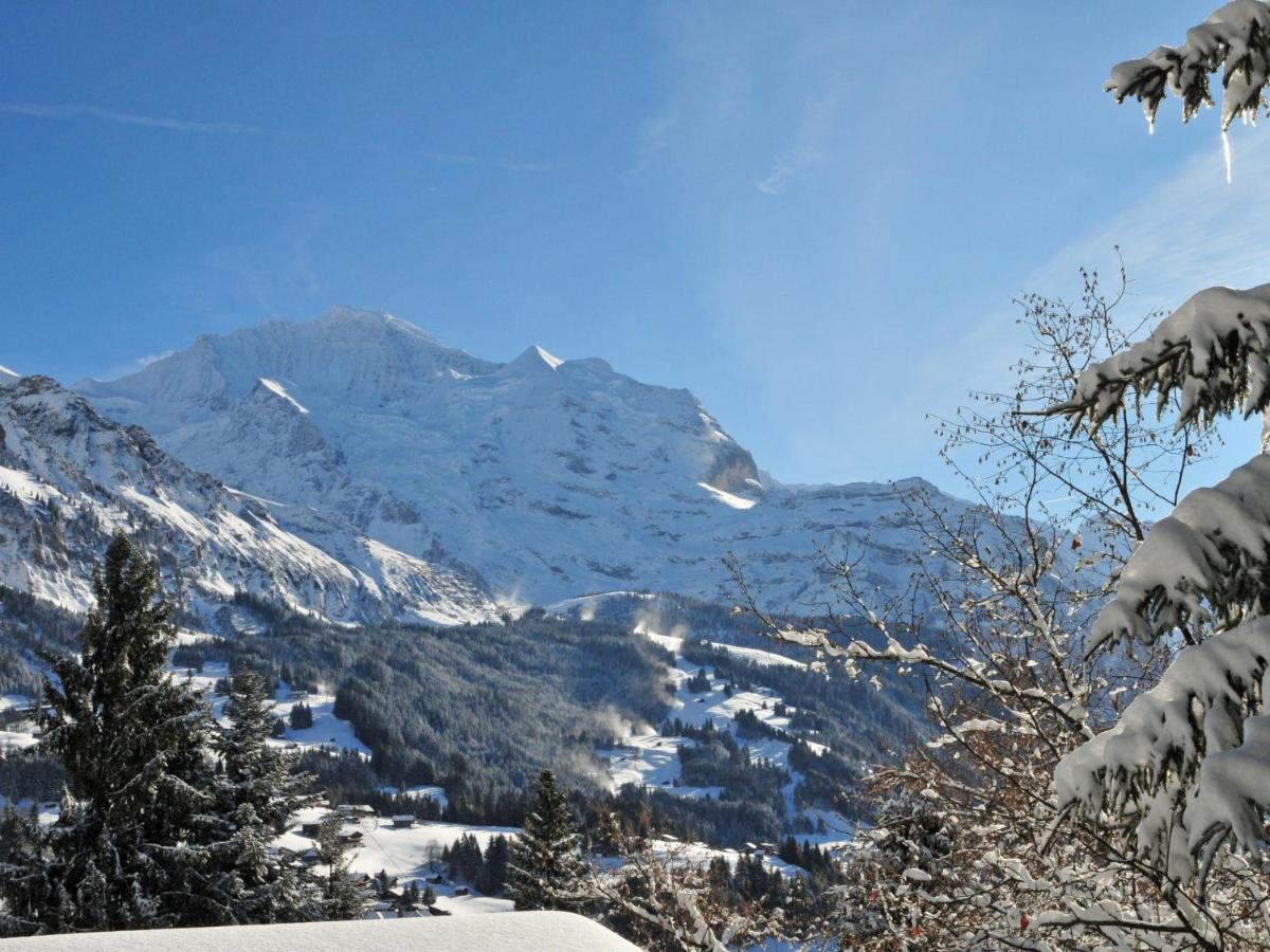 Apartment Im Gruebi-1 By Interhome Wengen Zewnętrze zdjęcie